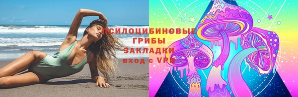 сатива Нефтекумск